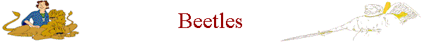 Beetles